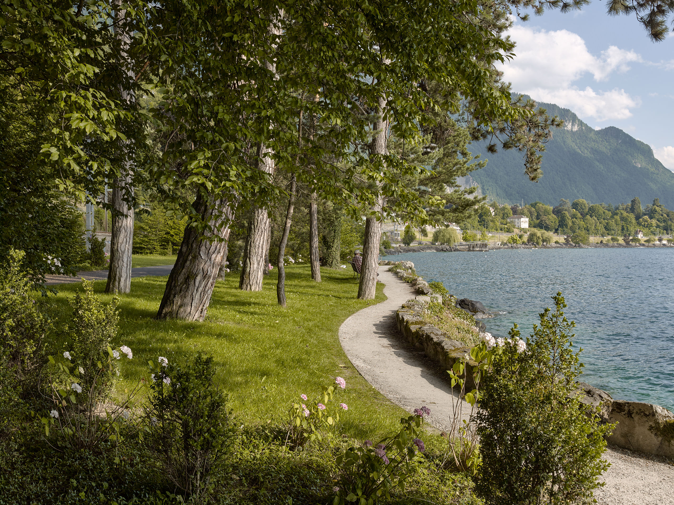 Ahp0013 alpa 103255 C